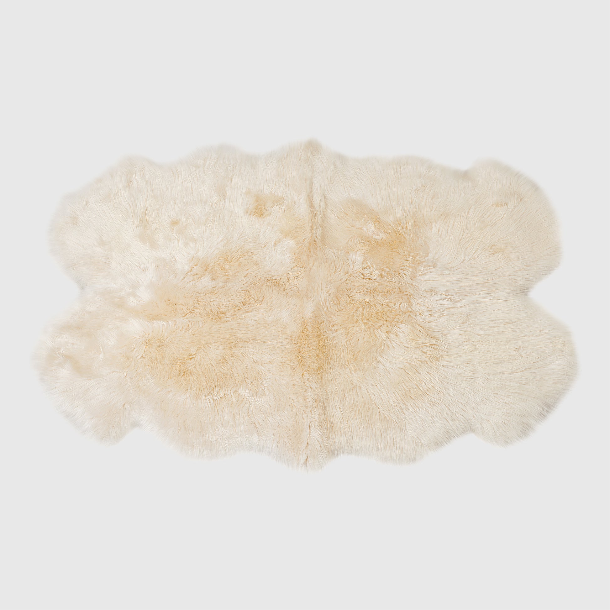 The Mood Charlie Sheepskin Quarto Pelt Rug, Champagne