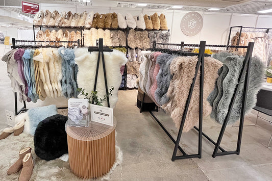 Dallas Market Winter 2024 Recap: Exciting Debut Unveiling New Opportunities