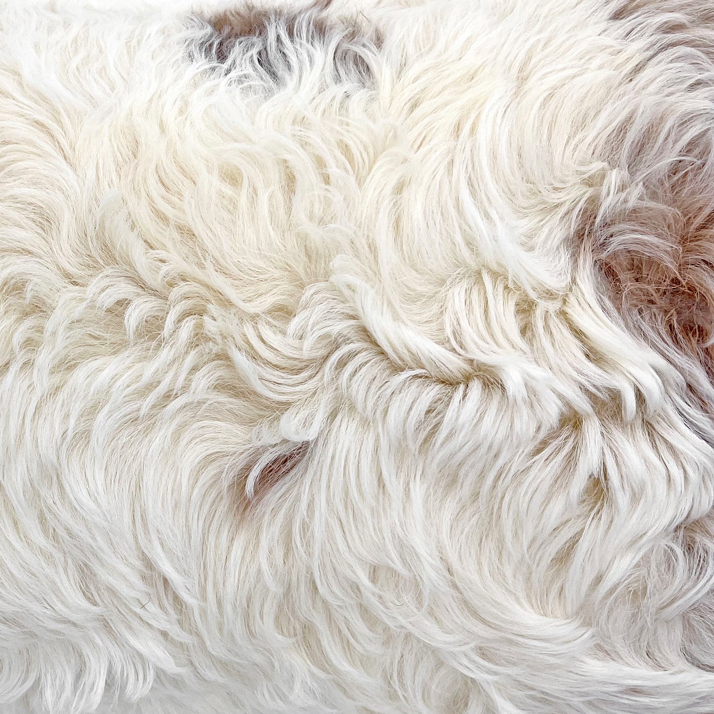 The Mood Tigrado Spanish Lambskin Lumbar Pillow, 12x22 in., Spotted Ivory/Cream