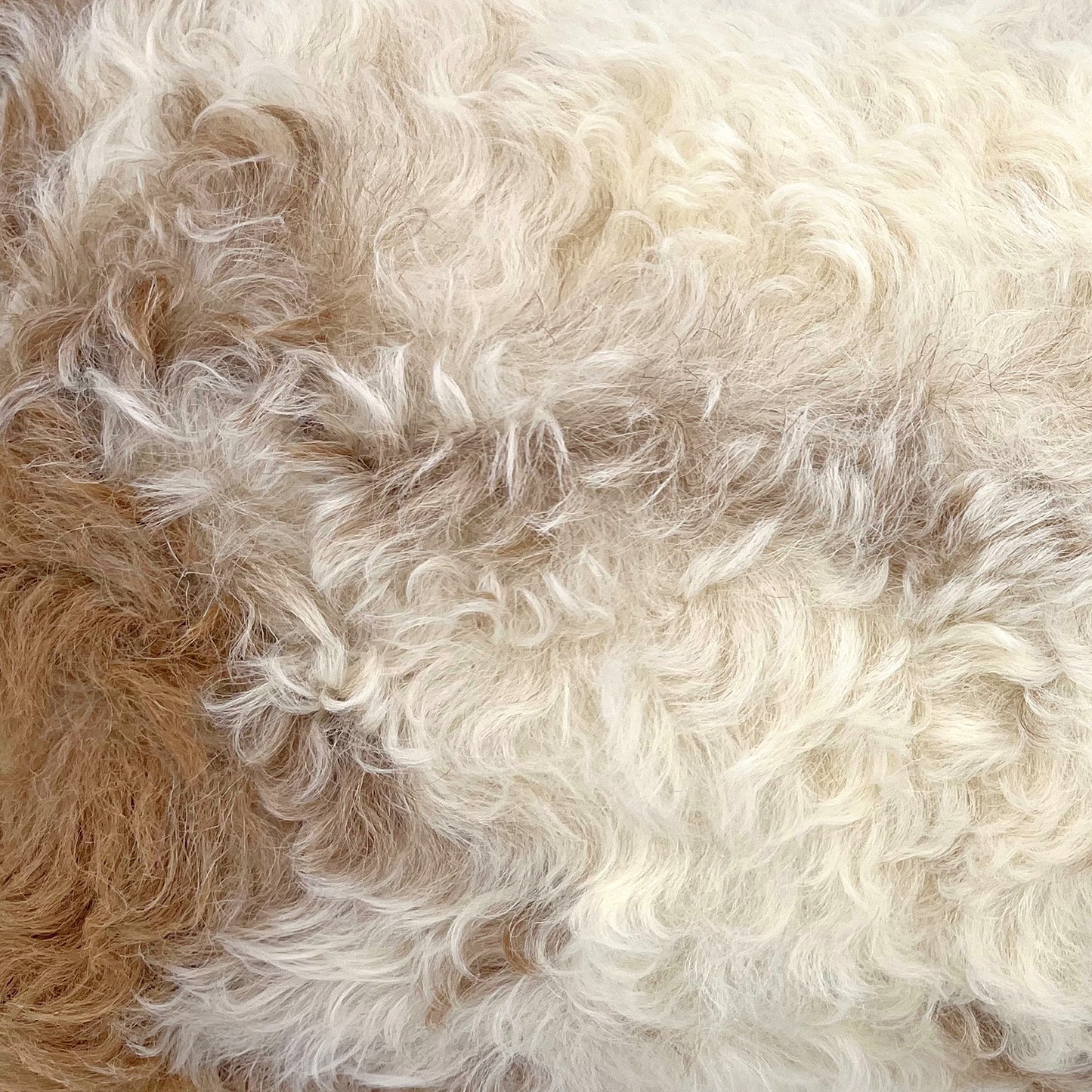 The Mood Tigrado Spanish Lambskin Lumbar Pillow, 12x22 in., Spotted Ivory/Cream