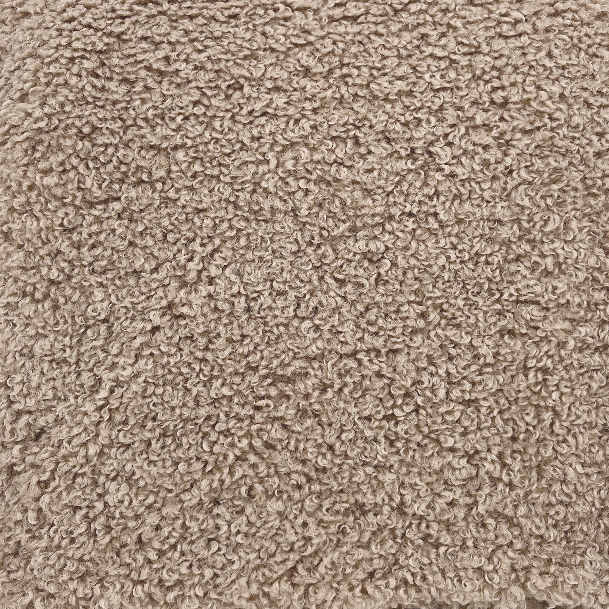 The Mood Teddy Faux Fur Throw, 50x60 in., Tan