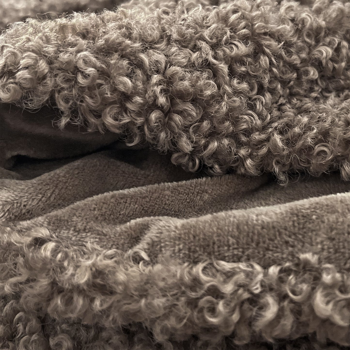 The Mood Teddy Faux Fur Throw, 50x60 in., Caribou