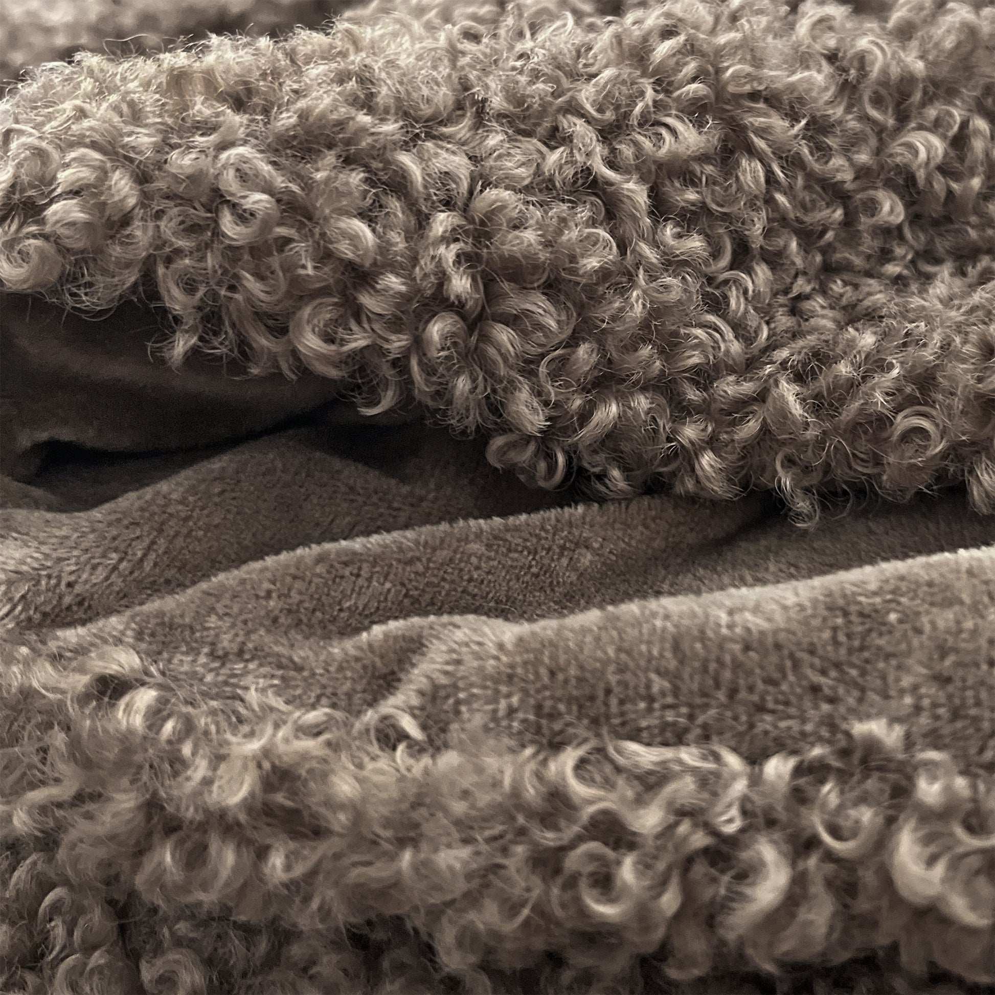 The Mood Teddy Faux Fur Throw, 50x60 in., Caribou
