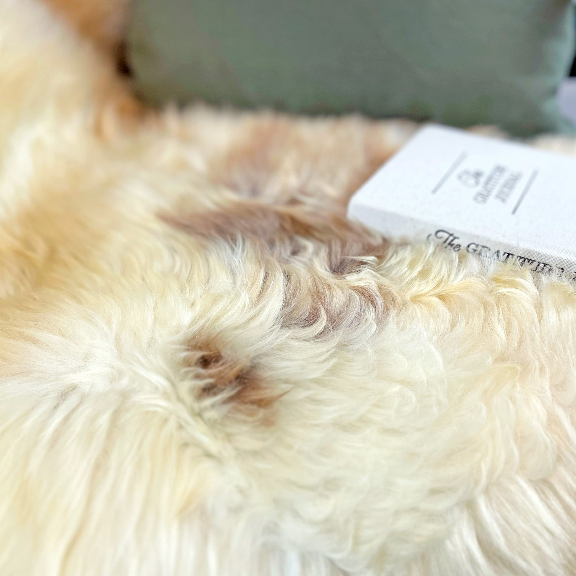 The Mood Heritage Sheepskin Pelt Rug [Limited Edition - Natural Light Shades] 