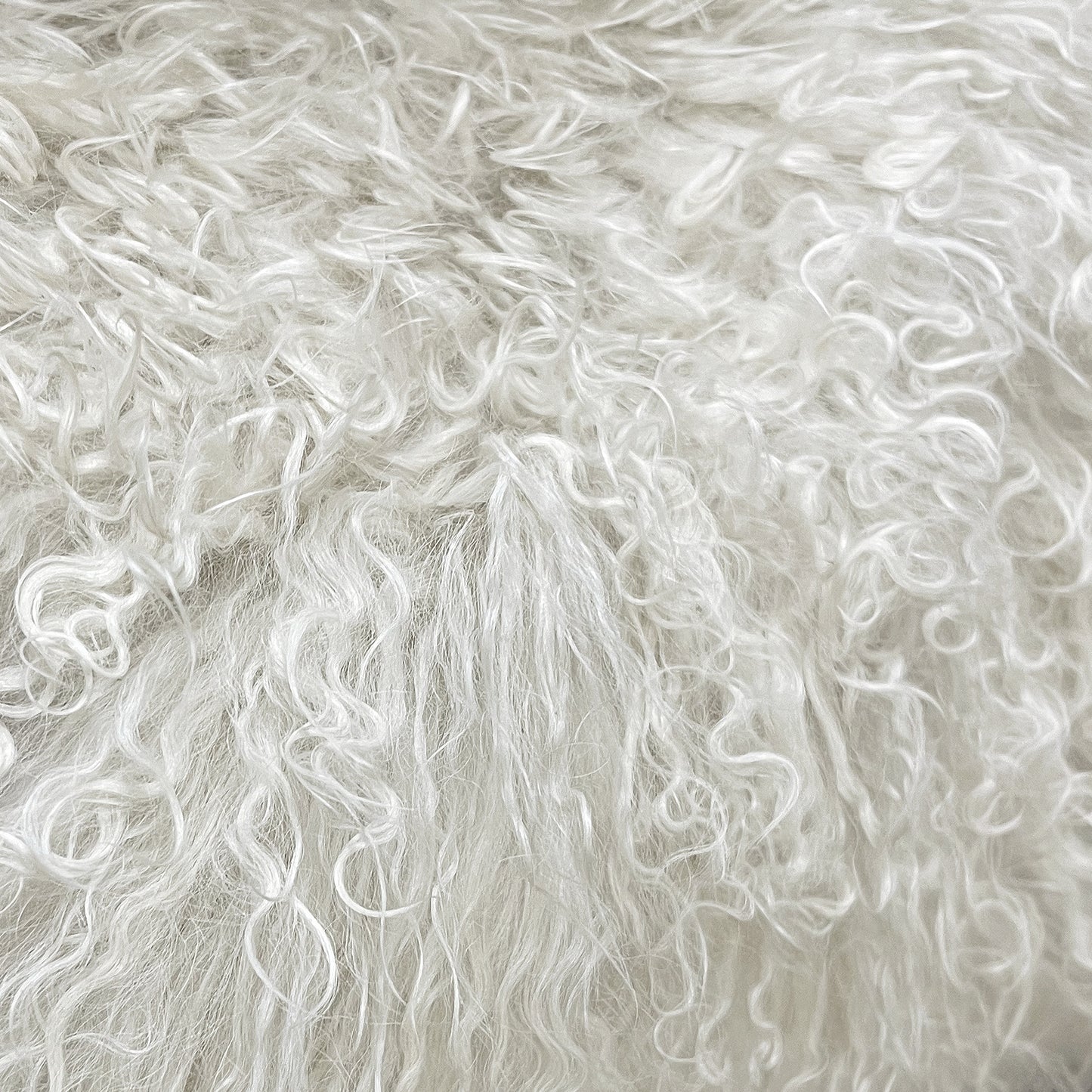 The Mood | Gobi Mongolian Lambskin Pelt, Birch