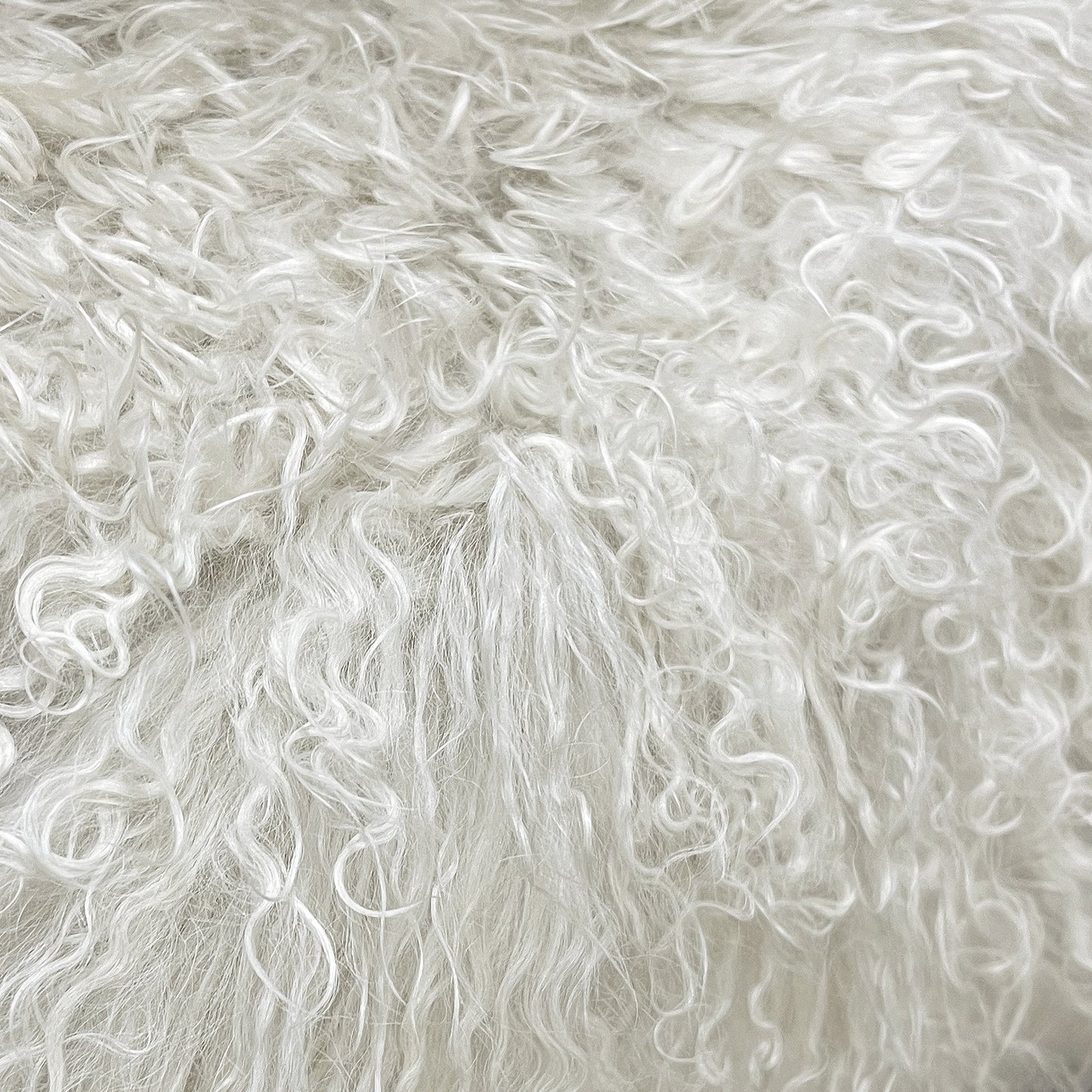The Mood | Gobi Mongolian Lambskin Pelt, Birch