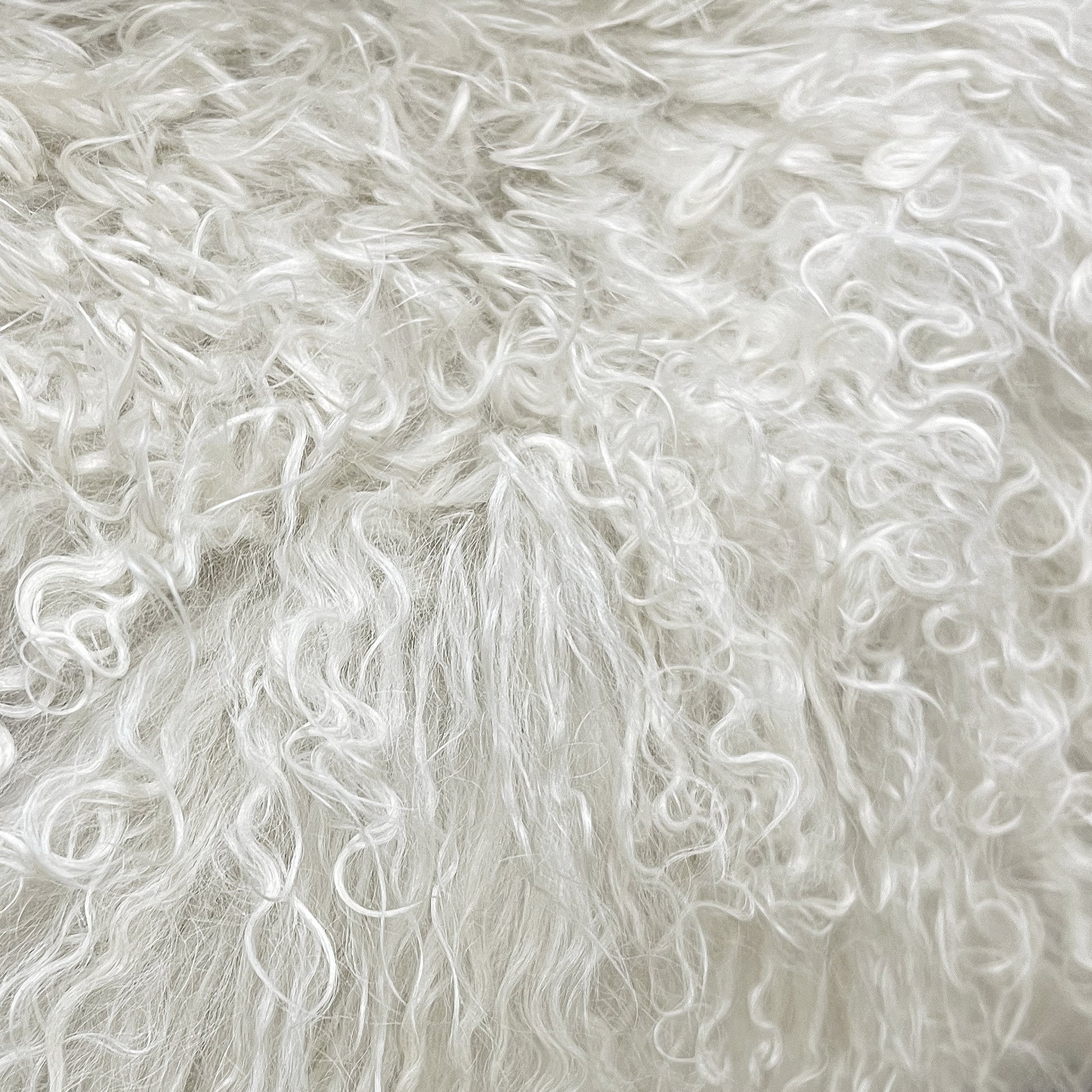 The Mood | Gobi Mongolian Lambskin Pelt, Birch